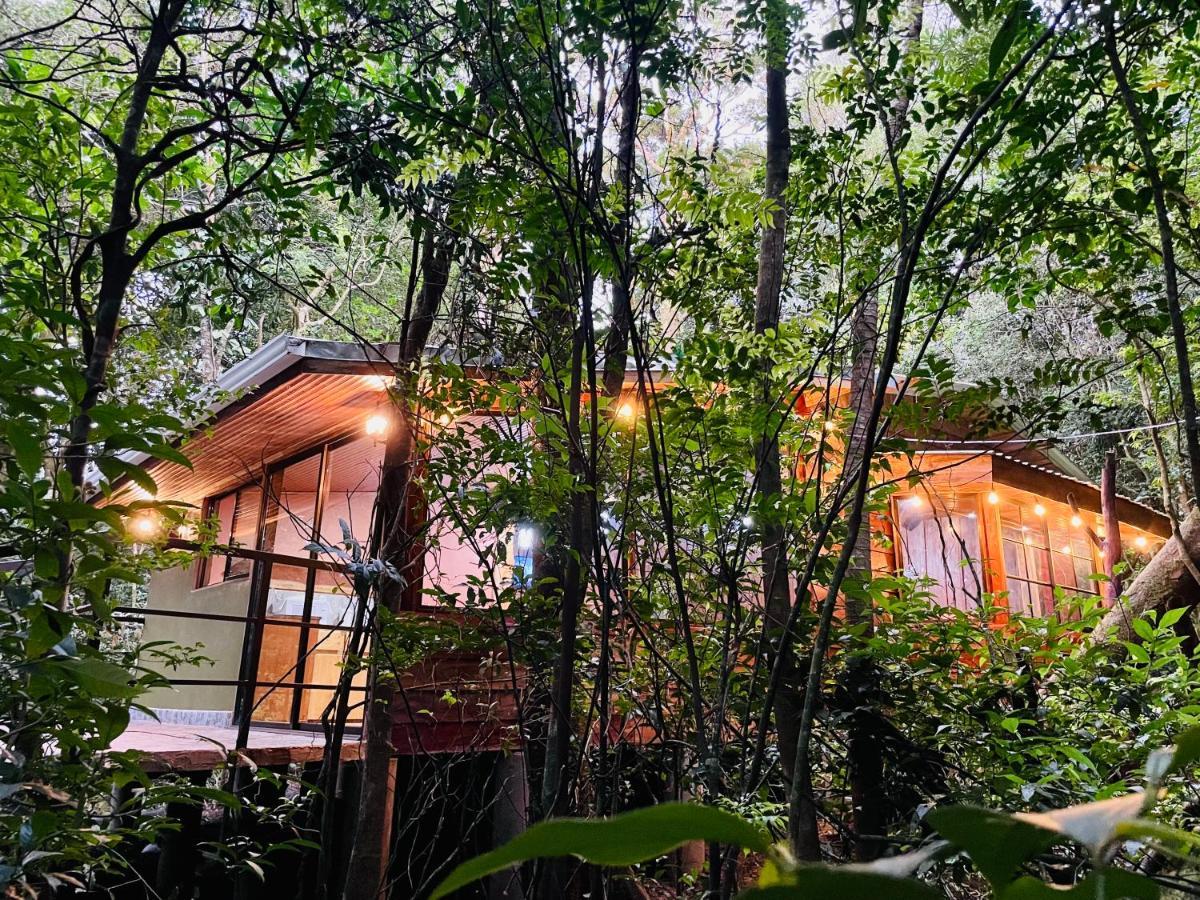 Cabanas La Montana Monteverde Exteriér fotografie