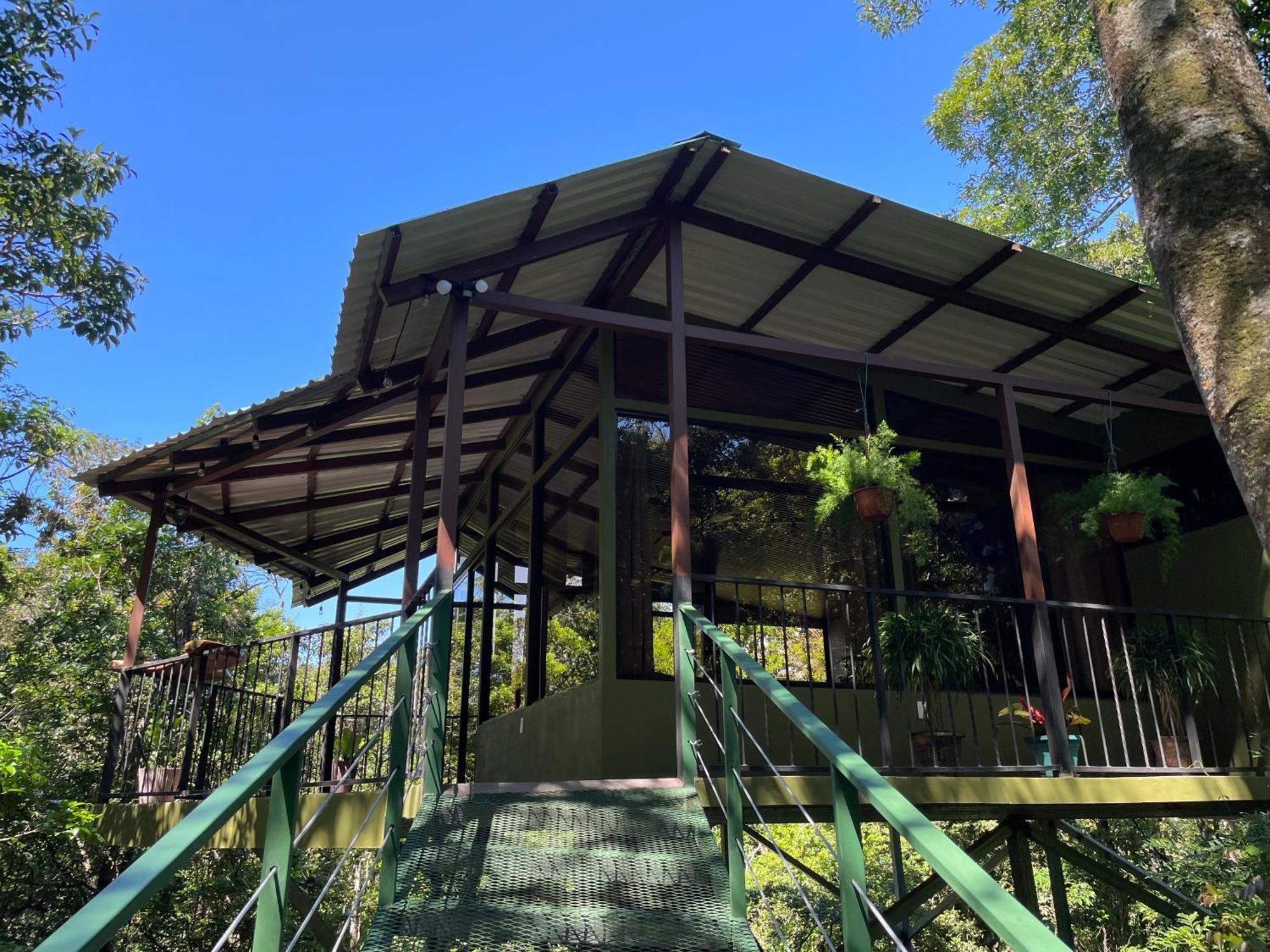 Cabanas La Montana Monteverde Exteriér fotografie