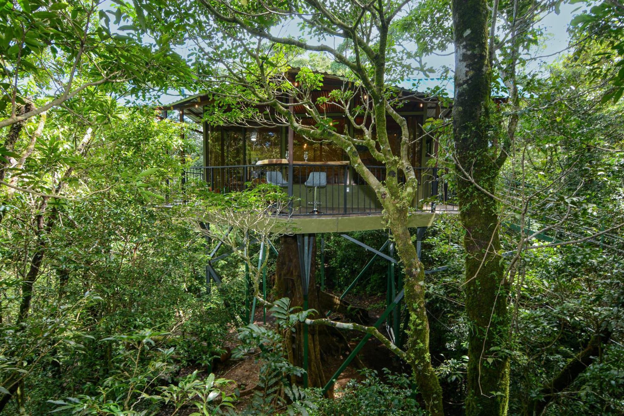 Cabanas La Montana Monteverde Exteriér fotografie