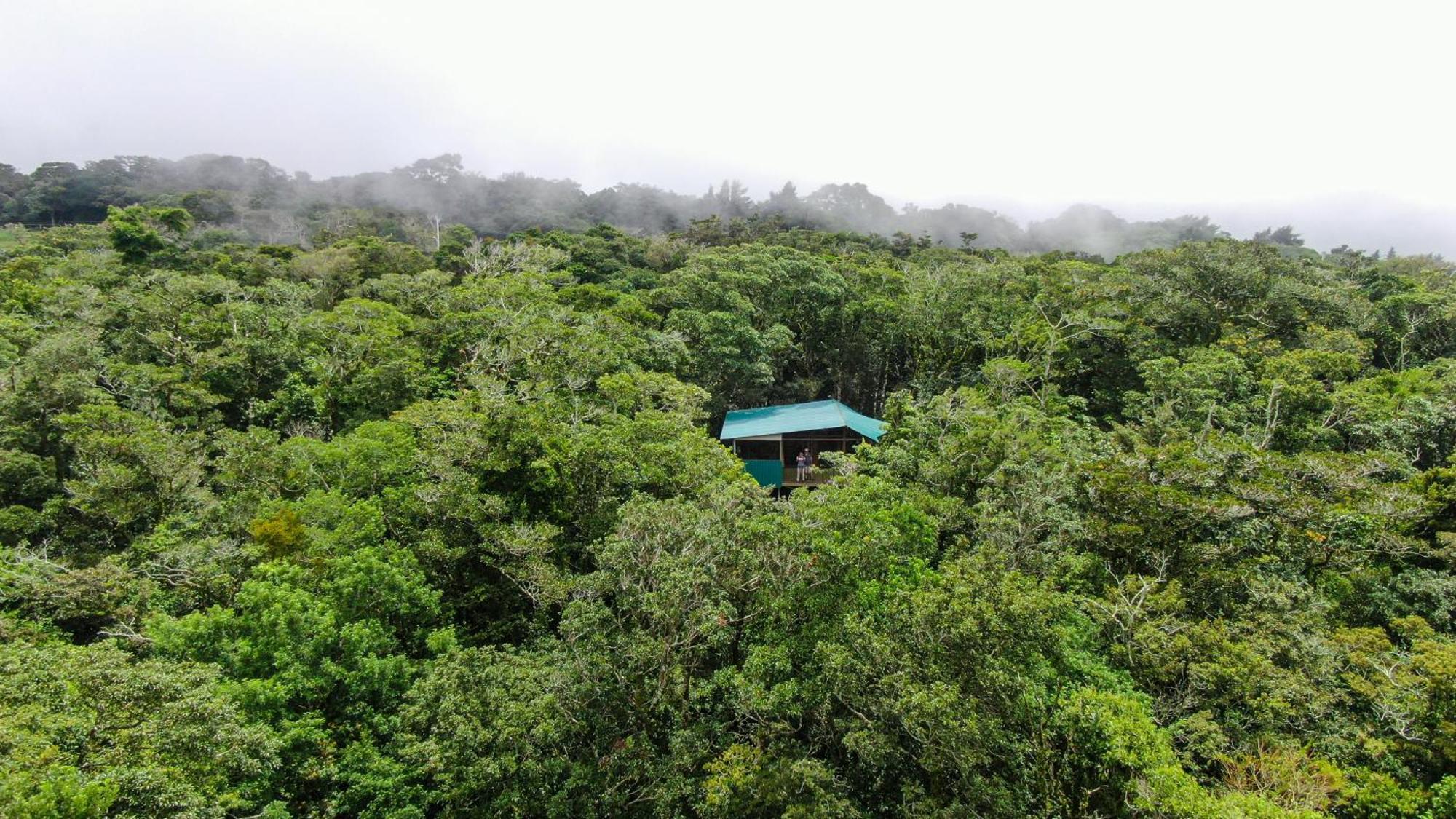 Cabanas La Montana Monteverde Exteriér fotografie