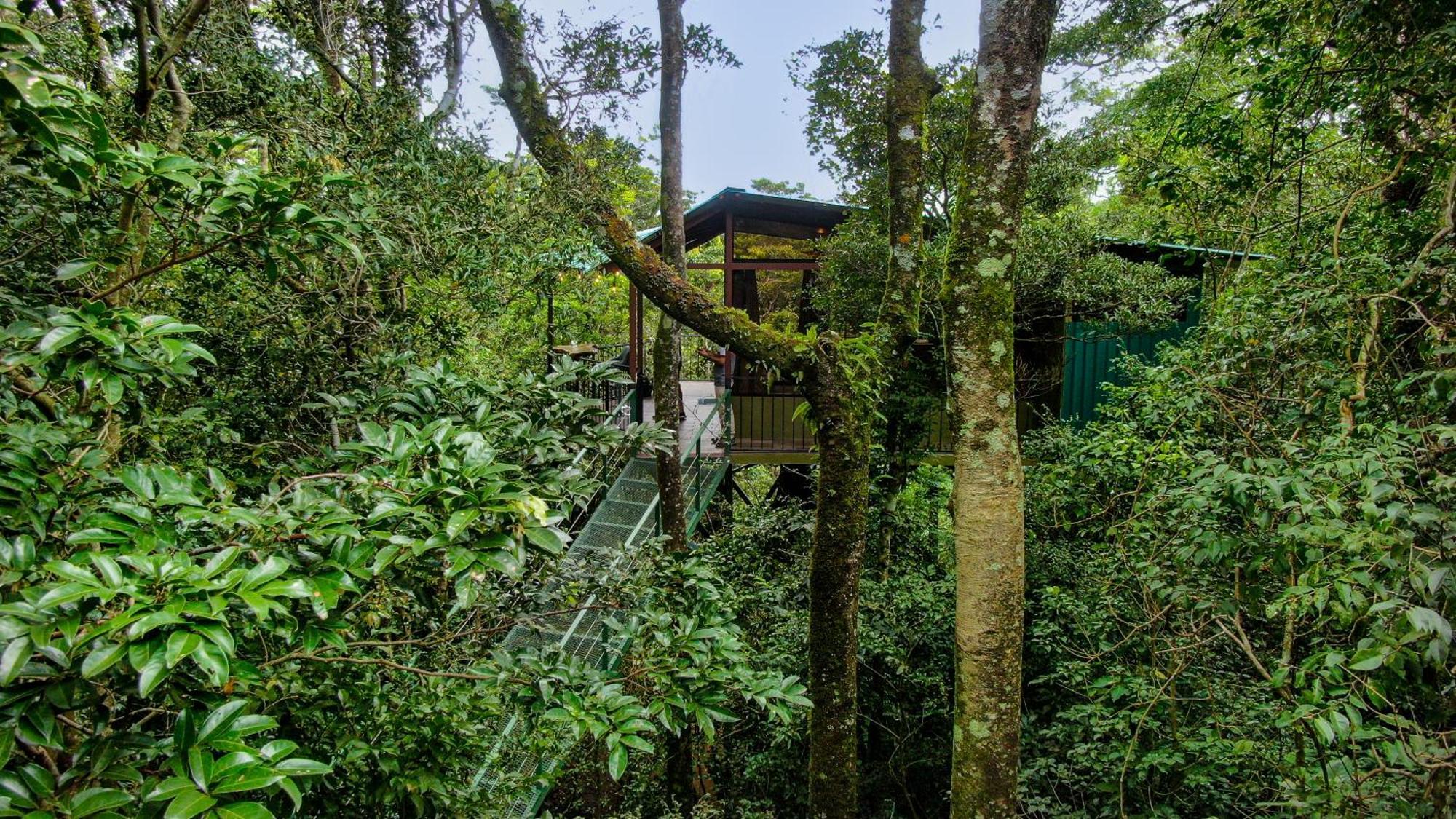 Cabanas La Montana Monteverde Exteriér fotografie