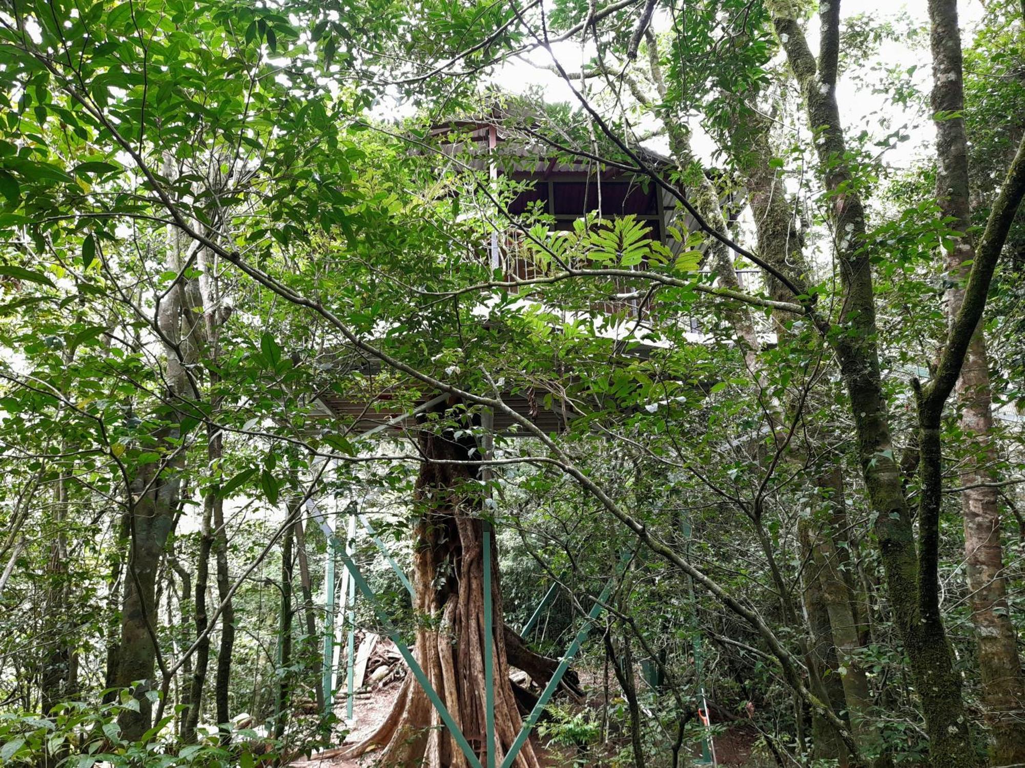 Cabanas La Montana Monteverde Exteriér fotografie