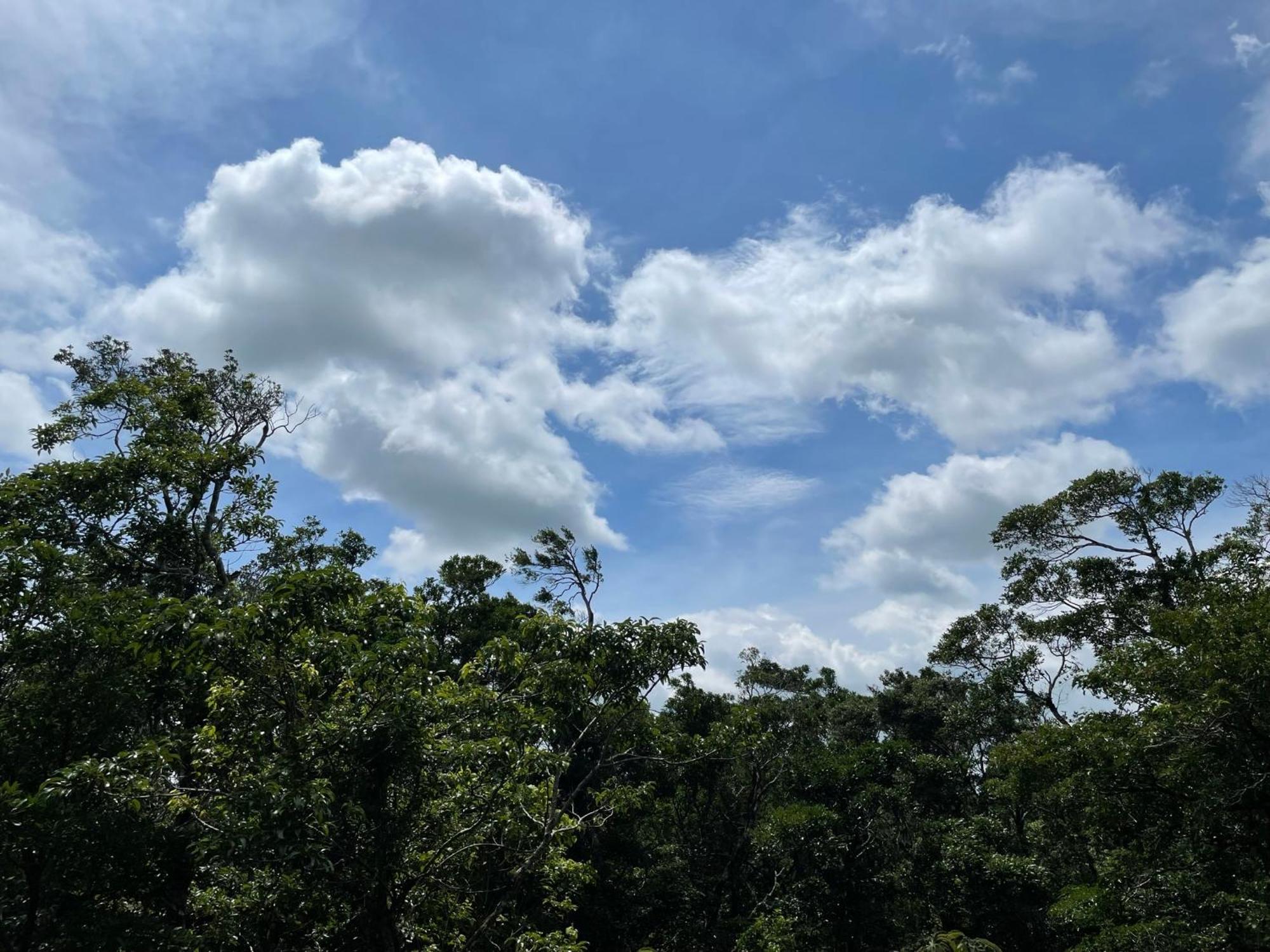 Cabanas La Montana Monteverde Exteriér fotografie