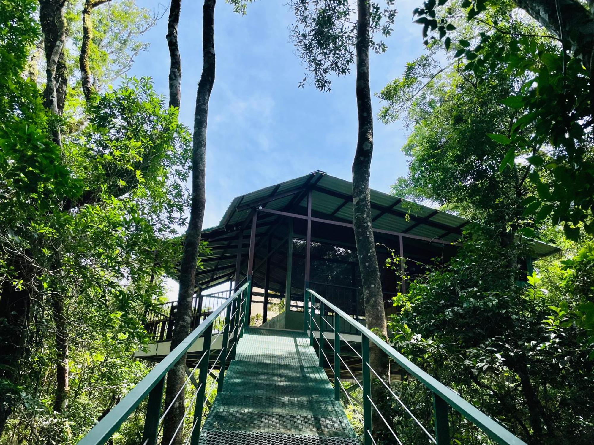Cabanas La Montana Monteverde Exteriér fotografie