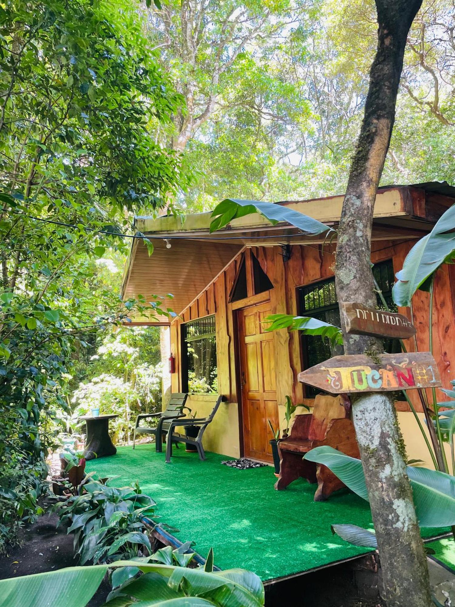 Cabanas La Montana Monteverde Exteriér fotografie