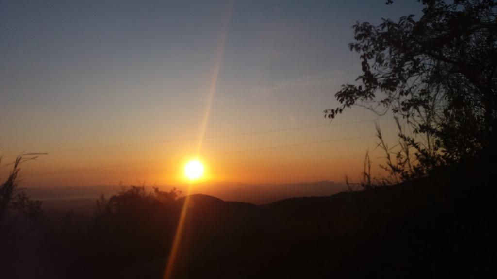 Cabanas La Montana Monteverde Exteriér fotografie